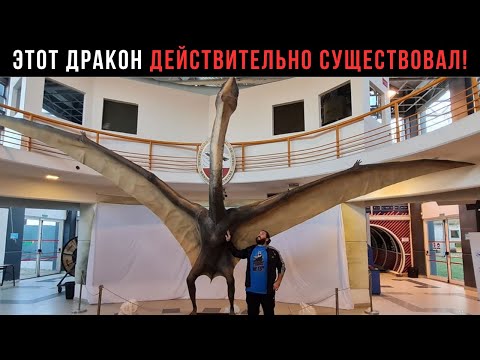 Видео: Дракон, который действительно существовал в меловом периоде