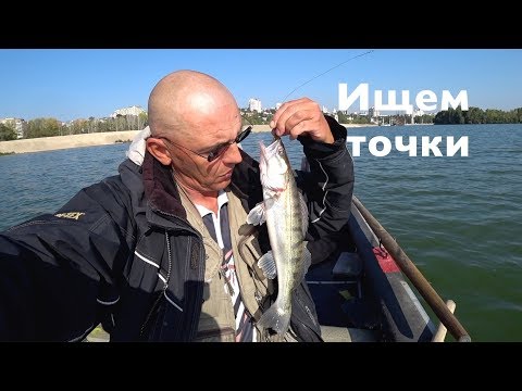 Видео: СУДАК НА ДЖИГ. ПОИСК ТОЧЕК ПО ЭХОЛОТУ.