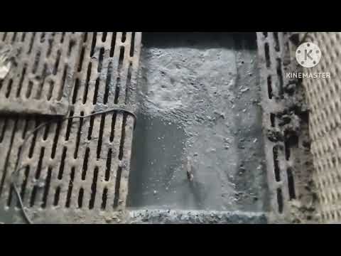 Видео: Слив ванны под щелевым полом, после применения  бактерий "Санвит"