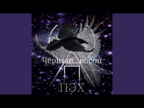 Видео: Чёрный ворон