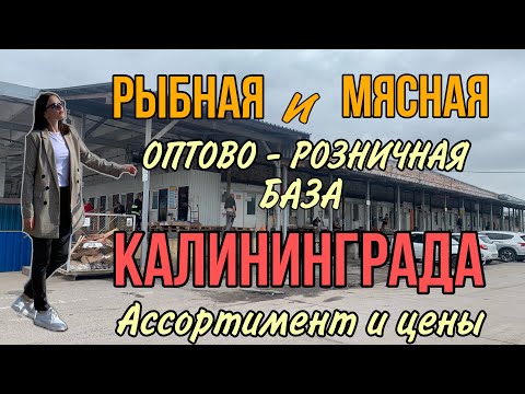 Видео: РЫБНАЯ и МЯСНАЯ база. Где закупаются Калининградцы⁉️