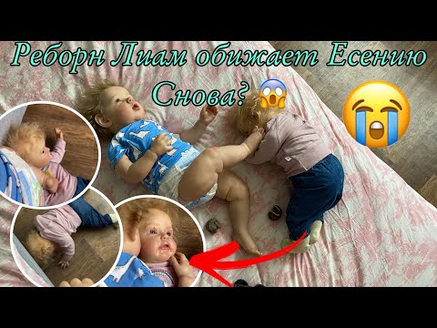 Видео: Реборн Лиам дерется с Есенией Лиам снова хулиганит Истерика Лиама стул трансформер Кузя