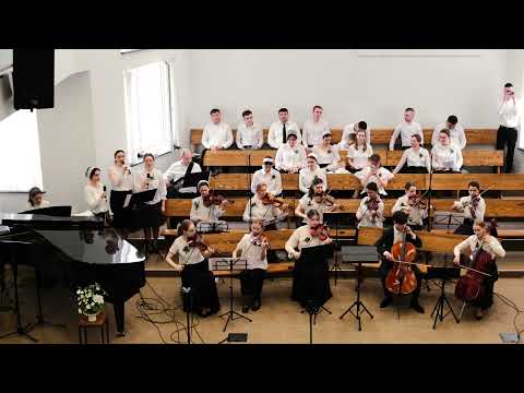 Видео: Утром, на рассвете, очень рано || Пасха 2025