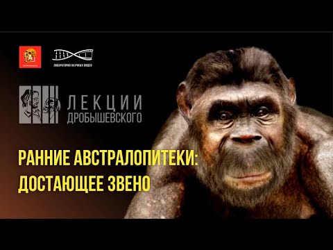 Видео: Лекции Дробышевского. Ранние Австралопитеки: Достающее звено