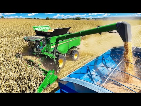 Видео: Работает на новом комбайне John Deere (S7 900)