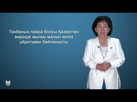 Видео: Дәріс 6 1  Маңғыстаудағы тайпалық рулық таңбалар