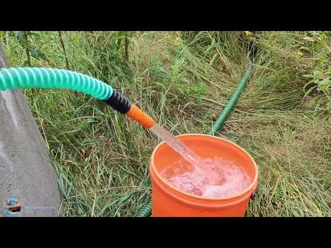 Видео: Абиссинская скважина посёлок оранжерейка 🍊 🍊 🍊