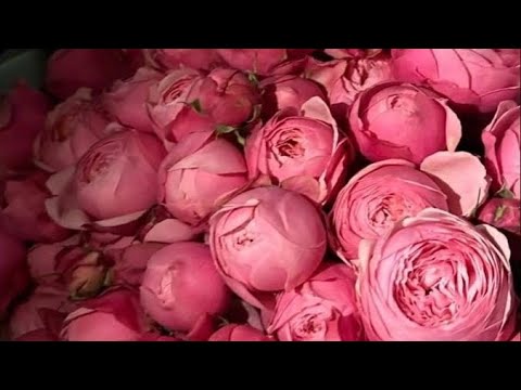 Видео: Его мысли 💭 чувства ♥️намерения ⚡️🔥📞🏠🫰