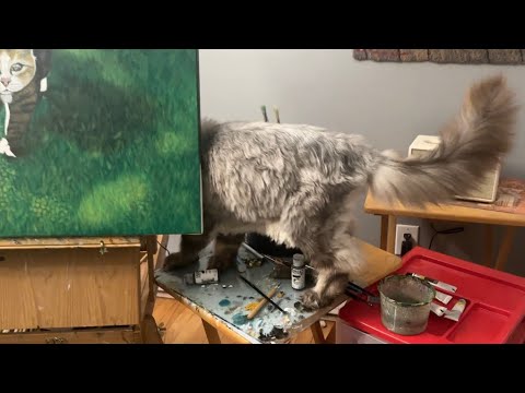 Видео: 🔉Кот нудно карабкается по моим краскам 😲