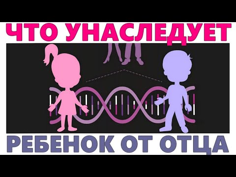 Видео: ЧТО ПЕРЕДАЕТСЯ ОТ ПАПЫ И МАМЫ ДЕТЯМ | Какие гены передаются детям от папы, а какие от мамы