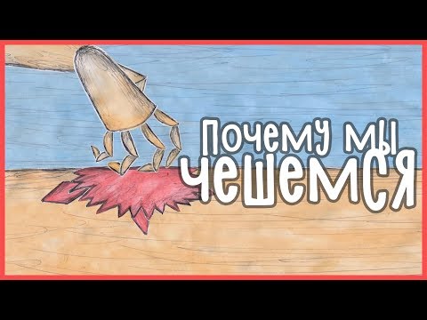 Видео: Edu: Почему мы чешемся