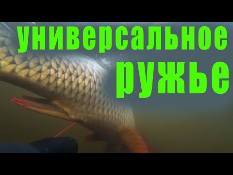 Видео: ТЕСТ НОВОГО РУЖЬЯ Salvimar Predathor Vuoto 55!!! ВСЕ МИНУСЫ И ПЛЮСЫ!!!