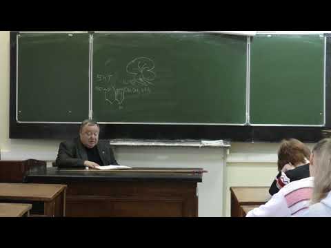 Видео: Каменский А. А. - Физиология человека и животных - 7. Медиаторы центральной нервной системы