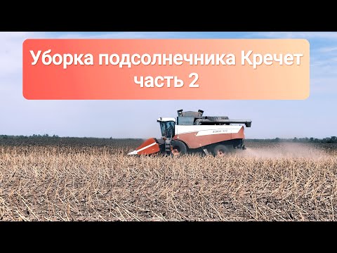 Видео: Уборка подсолнечника Кречет | Часть 2 | 13/09/2024