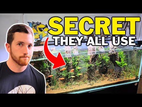 Видео: Это ДЕЙСТВИТЕЛЬНО МЕТОД ДЛЯ ПОЛУЧЕНИЯ СУПЕР ЧИСТОЙ ВОДЫ В АКВАРИУМЕ...