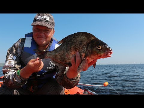 Видео: ЧТО ПРОИСХОДИТ С РЫБОЙ!!!??? Лещ на "КОЛЬЦО".