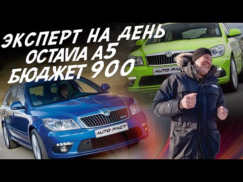 Видео: ЭКСПЕРТ НА ДЕНЬ! БЮДЖЕТ 900т.р. SKODA OCTAVIA A5! АВТОПОДБОР AUTOFACT!