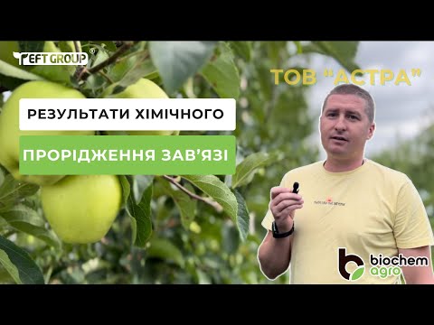 Видео: Препарати для якісного врожаю яблук: Історія успішного сезону ТОВ "АСТРА"