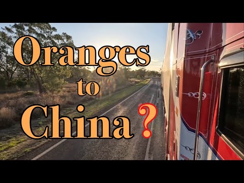 Видео: Экспорт апельсинов, я так понимаю?