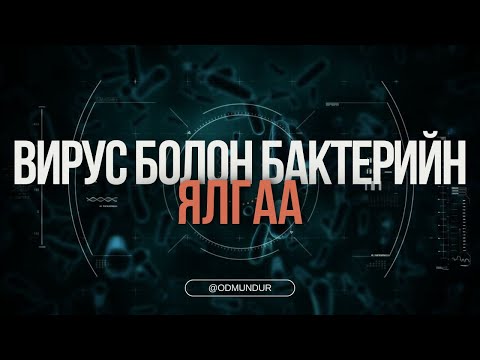 Видео: Вирус болон бактерийн ялгаа - ВИРУС БИДНИЙ АМЬДРАЛД