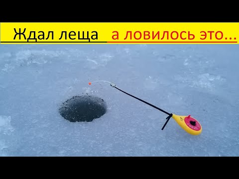 Видео: Зимняя рыбалка 2022 маныч