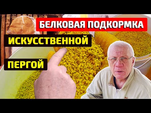 Видео: Белковая подкормка для пчел. Когда давать и зачем?