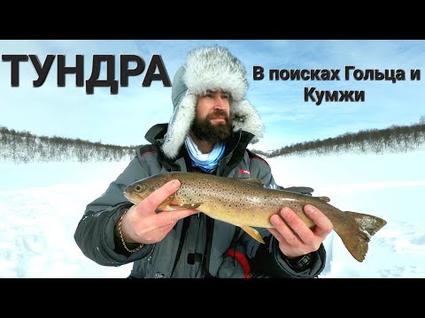 Видео: ПОПАЛИ на ЖОР КУМЖИ и ГОЛЬЦА