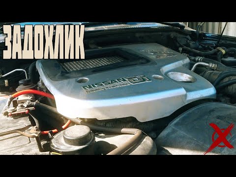 Видео: Как жить с ZD30