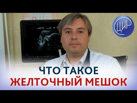 Видео: ЖЕЛТОЧНЫЙ МЕШОК. Что такое желточный мешок и зачем его смотрят на УЗИ. Курганников А.С.