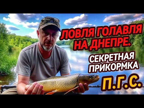 Видео: Секретная  прикормка для рыбалки - П.Г.С . Ловля голавля на Днепре .The Secret Bait for Catching Chu