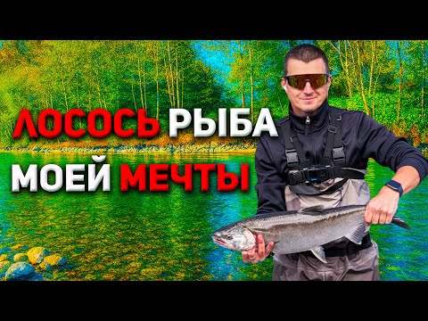 Видео: Сезон Кохо открыт! Лучшие приманки и трофеи дня