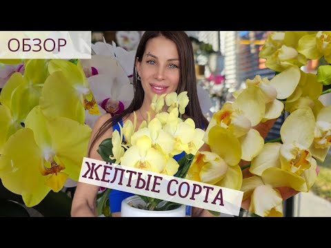 Видео: Хотите пышные каскады? Купите эти сорта! | 4K video | English subtitles
