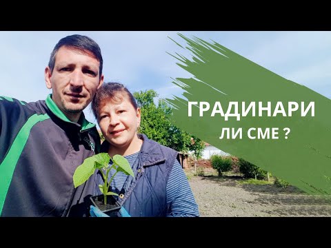 Видео: Продължаваме да си садим зеленчуци | Живот на село | Боби и Катето
