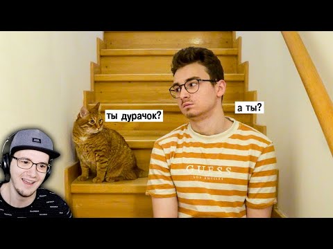 Видео: Брайн Мапс ► Ещё один день из моей жизни ( TheBrianMaps ) | Реакция