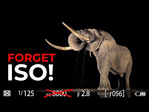 Видео: Режим камеры, который на самом деле используют профессионалы