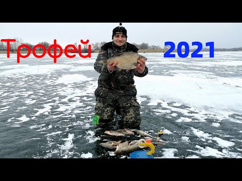 Видео: СУПЕР РЫБАЛКА! ВЛЕТЕЛ ТРОФЕЙ! СРАБОТКА ЖЕРЛИЦЫ НА РУСЛЕ! ПЕЧЕНЕЖСКОЕ ВОДОХРАНИЛИЩЕ