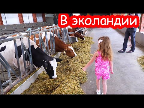 Видео: VLOG Мы поехали в Эколандию