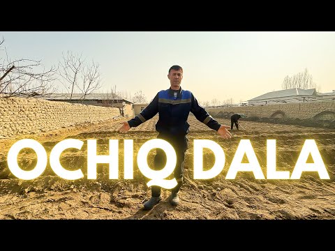Видео: ОЧИҚ ДАЛА ПОМИДОРЛАРИНИ ЭКИШ СИРЛАРИ 1 ҚИСМ | OCHIQ DALA POMIDORLARINI EKISH SIRLARI 1 QISM