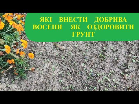 Видео: ЯКІ  ВНЕСТИ  ДОБРИВА  ВОСЕНИ  ТА ЯК   ОЗДОРОВИТИ ГРУНТ  ПІСЛЯ  ЗБОРУ  УРОЖАЮ