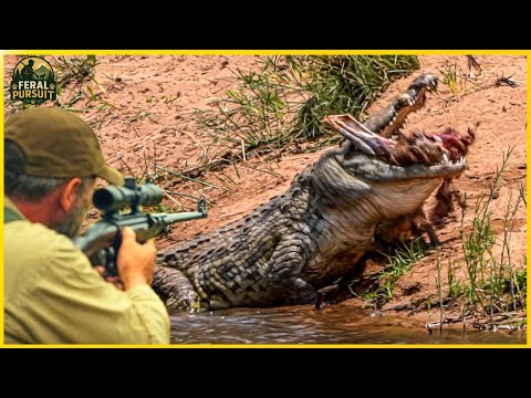 Видео: Захватывающая охота на реке Сепик — лицом к лицу с самыми смертоносными крокодилами Папуа-Новой Г...