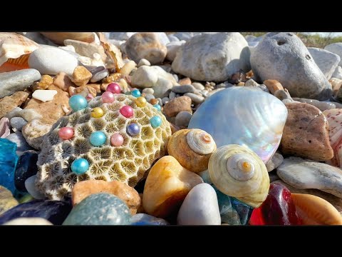 Видео: Чистая вода, огромные жемчужины морских улиток и австралийские омары появляются в большом количестве