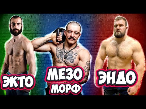 Видео: Типы телосложения Миф или Реальность?