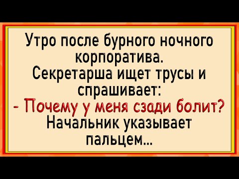 Видео: Как секретаршу по кругу пустили! Сборник свежих анекдотов! Юмор!
