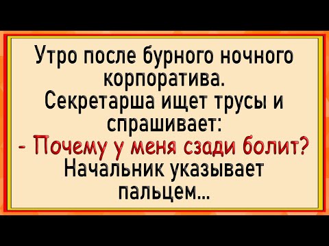 Видео: Как секретаршу по кругу пустили! Сборник свежих анекдотов! Юмор!