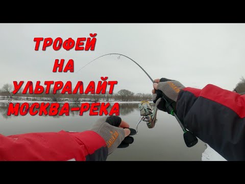Видео: ФРИКЦИОН ТРЕЩИТ!!! РУКИ ТРЯСУТСЯ... Зимний микроджиг на Москва-реке.