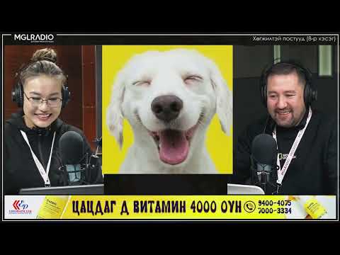 Видео: Үдийн хачир | 2023-02-24 Сэдэв: Хөгжилтэй постууд (8-р хэсэг)