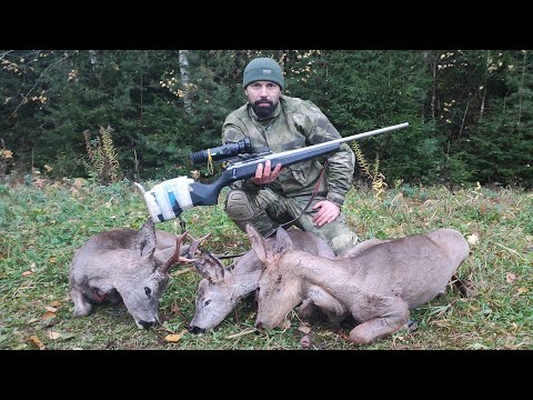 Видео: Шикарная охота! Добыли косуль, кабанов и чудно время провели! 