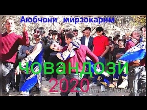 Видео: човандоз туёна ,Аюбчони Мирзокарим