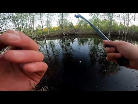 Видео: Рыбалка на озере в начале лета