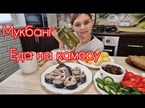 Видео: МУКБАНГ#еданакамеру Кто умеет закрывать огурцы на зиму? Делитесь рецептами..#мукбанг#скумбрия 